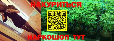 амф Обь