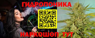 амф Обь