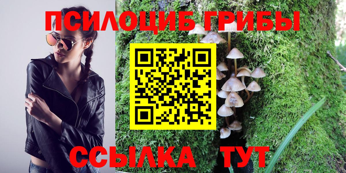 Стрежевой  Галлюциногенные грибы прущие грибы  как найти закладки  Вход с VPN 