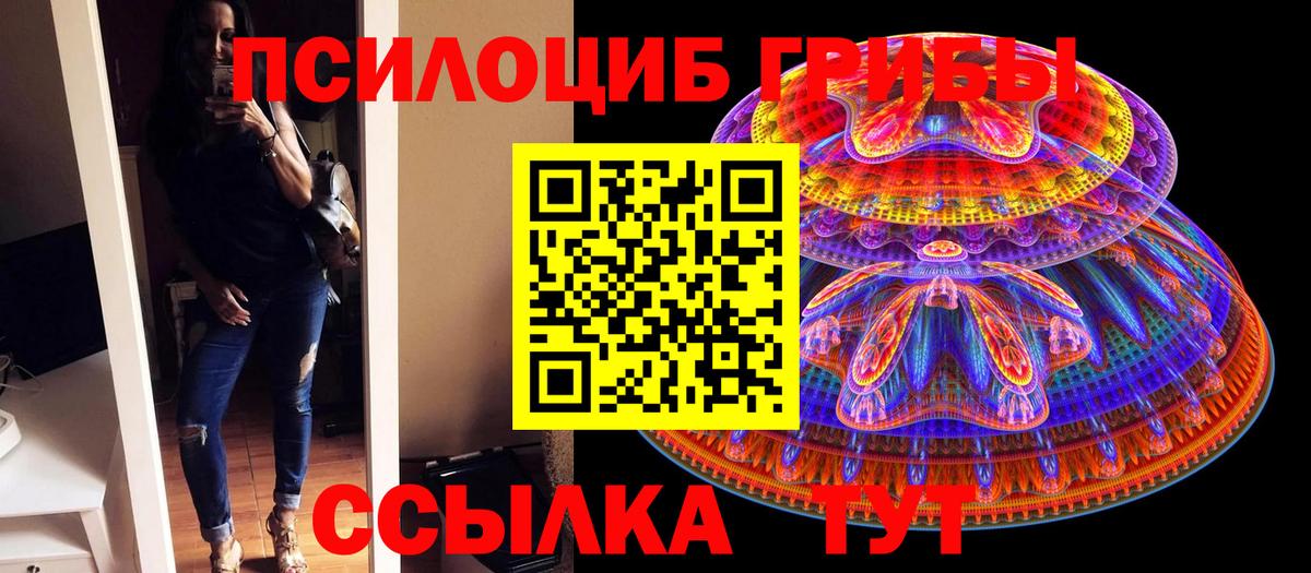 Галлюциногенные грибы GOLDEN TEACHER Стрежевой